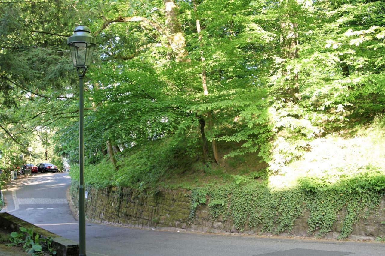 Family Suites & Parking Baden-Baden Bagian luar foto